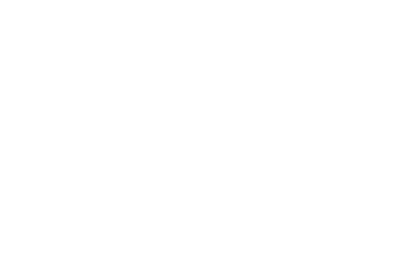2020-2021 Torch Awards Finalist